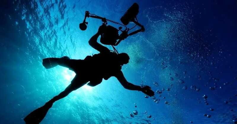 Cancun: MUSA Diving for certified divers morning dive trip - Pricing and Value