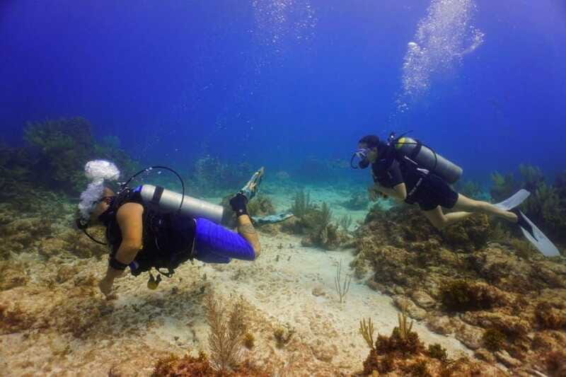 Cancun: MUSA Diving for certified divers morning dive trip - Who Should Consider This Tour?