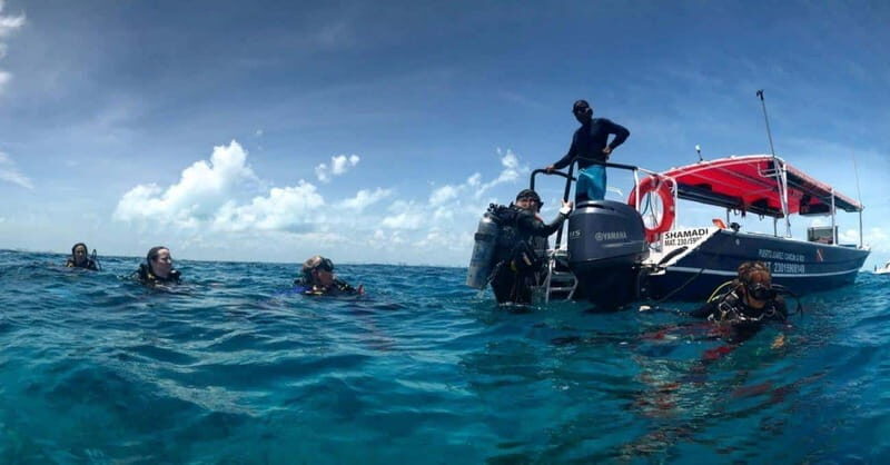 Cancun or Isla Mujeres Reef Diving for Beginners - Key Points