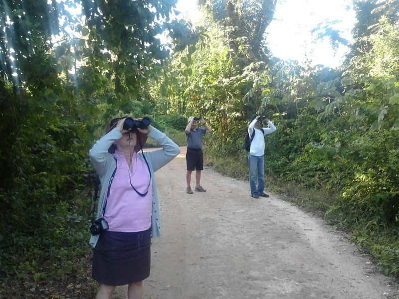 Cancun: Private Birdwatching Tour - Who Will Love This Tour?