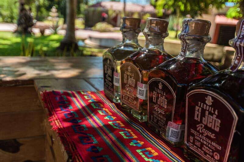 Cancun: Private Chichen Itza Tour, Cenote Swim, & Lunch - The Experience at Chichen Itza