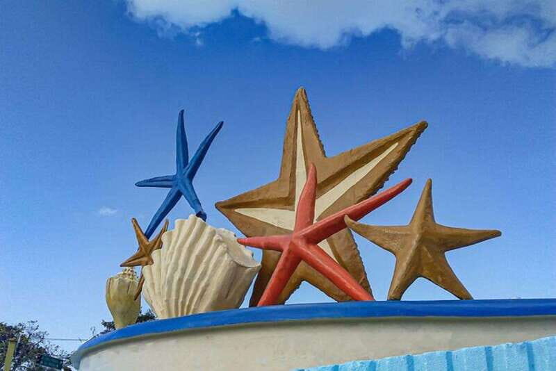 Cancun: Private Half-Day Guided Tour with Tequila Tasting - Key Points