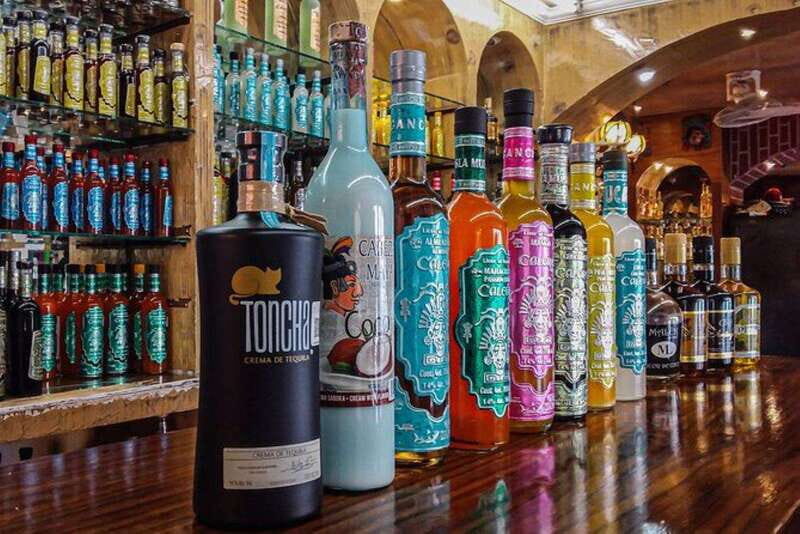 Cancun: Private Half-Day Guided Tour with Tequila Tasting - Why Choose This Tour?