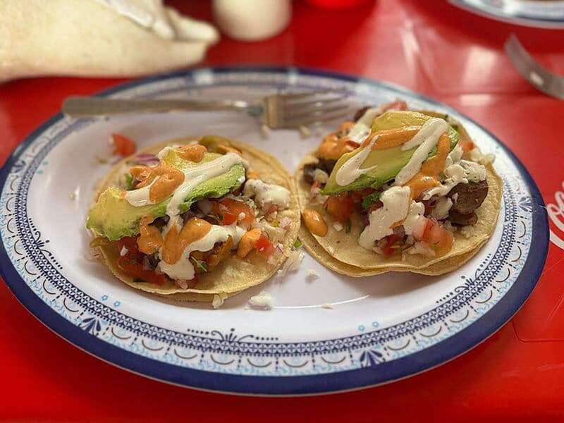 cancun-puerto-morelos-city-taco-tour