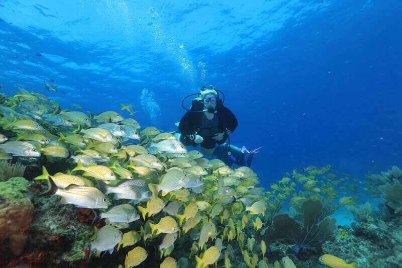 Cancun: Scuba Diving for Beginners, 2 Dives - What makes this experience stand out?