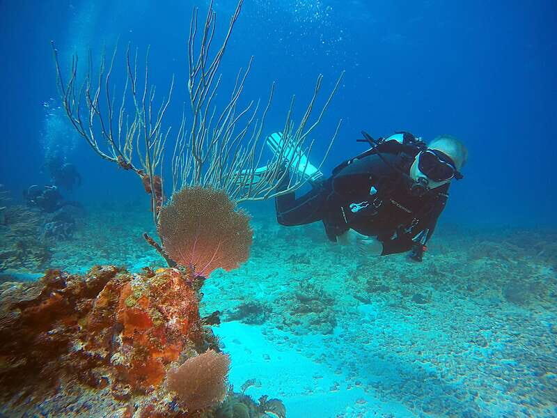 Cancun: Scuba Diving for Certified Divers, 3 options to dive - Final Thoughts