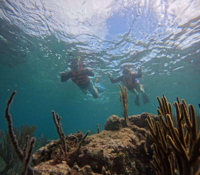 Cancun: Sea and Jungle Private Puerto Morelos Tour - The Sum Up  