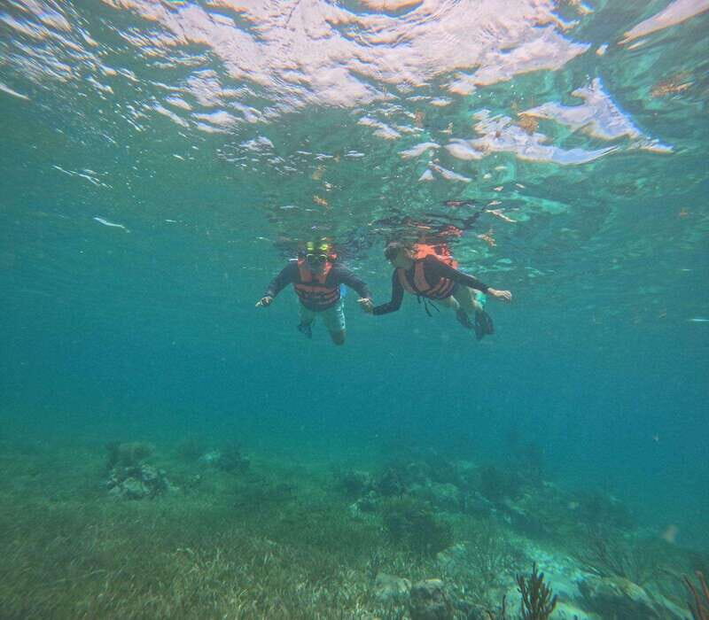 Cancun: Sea and Jungle Private Puerto Morelos Tour - FAQ  