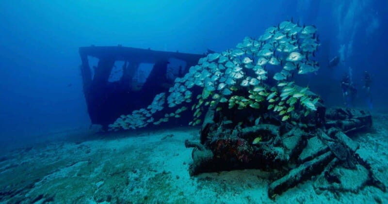 Cancun: Shipwreck and Reef Dives - An In-Depth Look at Cancun’s Shipwreck and Reef Experience