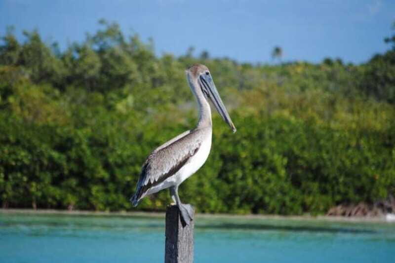 Cancun: Sian Ka'an Adventure and Dolphin Sightseeing - The Sum Up