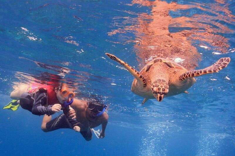 cancun-snorkeling-at-underwater-museum-manchones-reef