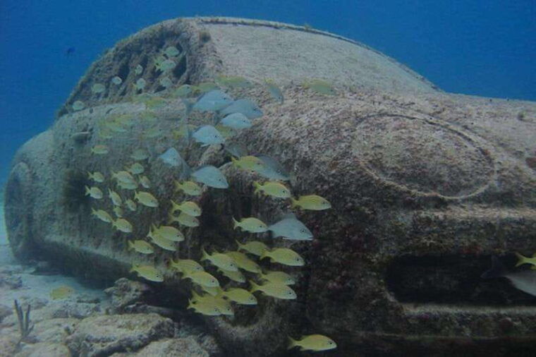 cancun-snorkeling-at-underwater-museum-manchones-reef