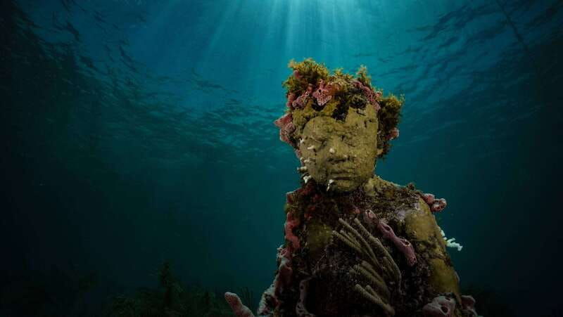 cancun-snorkeling-tour-at-musa-the-underwater-museum