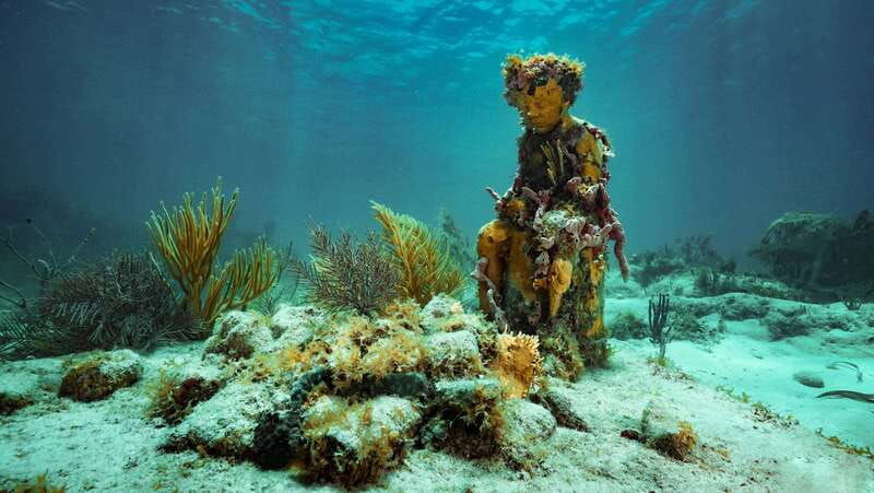 cancun-snorkeling-tour-at-musa-the-underwater-museum