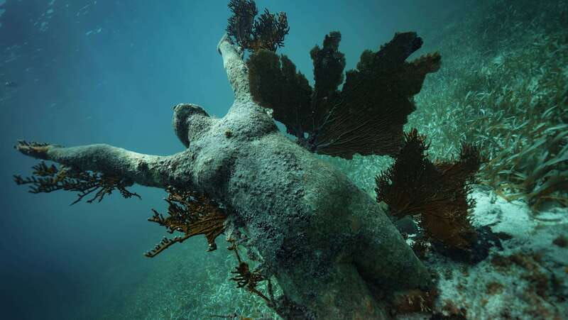 cancun-snorkeling-tour-at-musa-the-underwater-museum