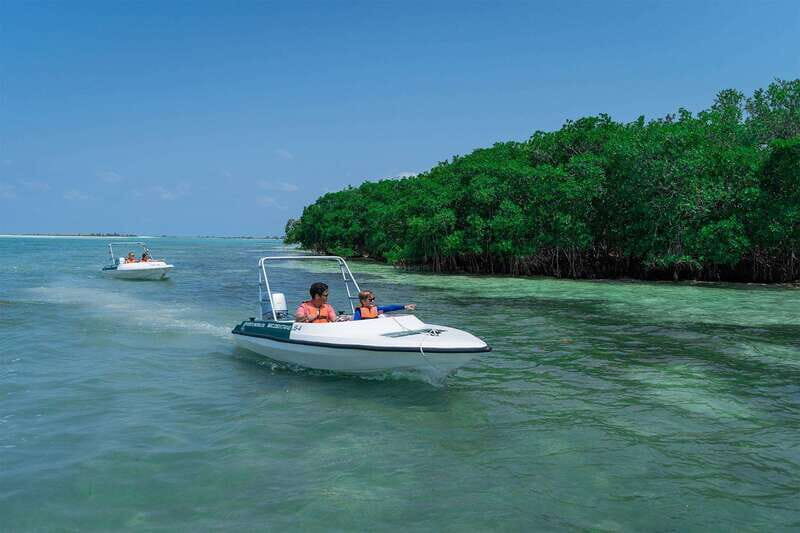 Cancun: Speedboat tour to a Virgin Beach - Key Points