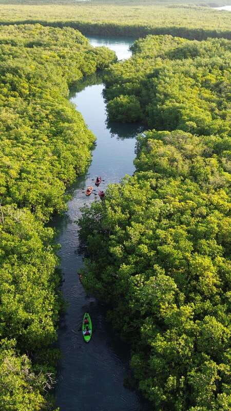 cancun-sunset-kayak-experience-in-the-mangroves