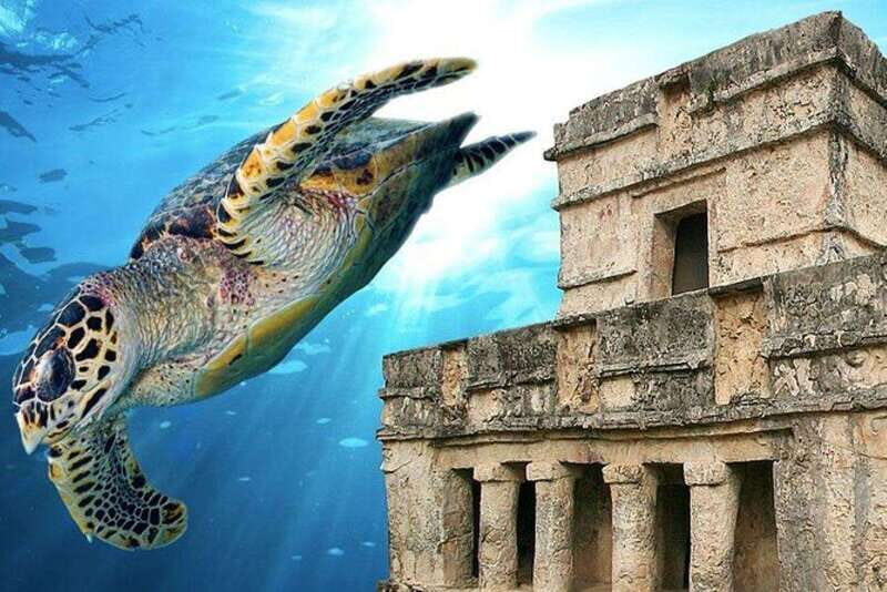 Cancun: Tulum Ruins & Snorkeling with Sea Turtles Tour - An In-Depth Look at the Tour