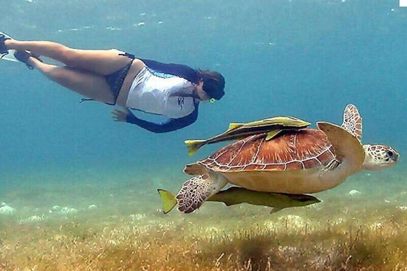 Cancun: Tulum Ruins & Snorkeling with Sea Turtles Tour - Final Thoughts: Is This Tour for You?
