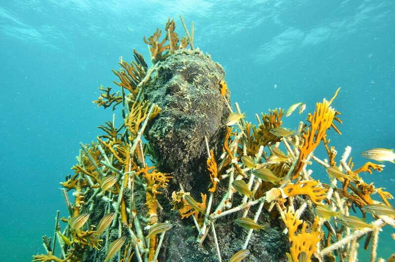 Cancún: Underwater Museum & Reef for Certified Scuba Divers - Key Points