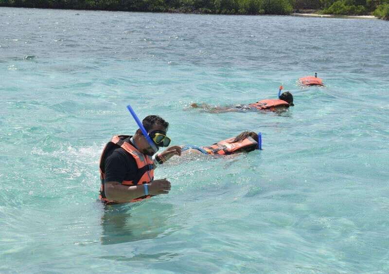 Cancun: Whale Shark encounter and snorkeling experience - An In-Depth Look at the Tour