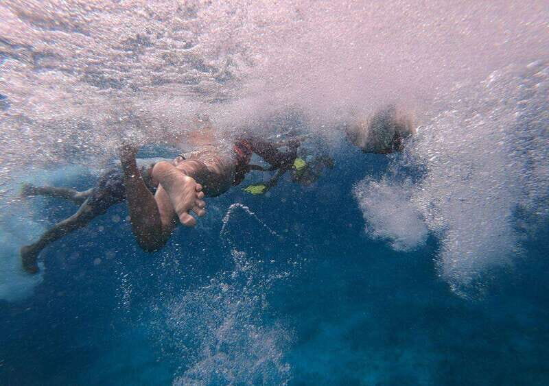 Cancun: Whale Shark encounter and snorkeling experience - Final Thoughts