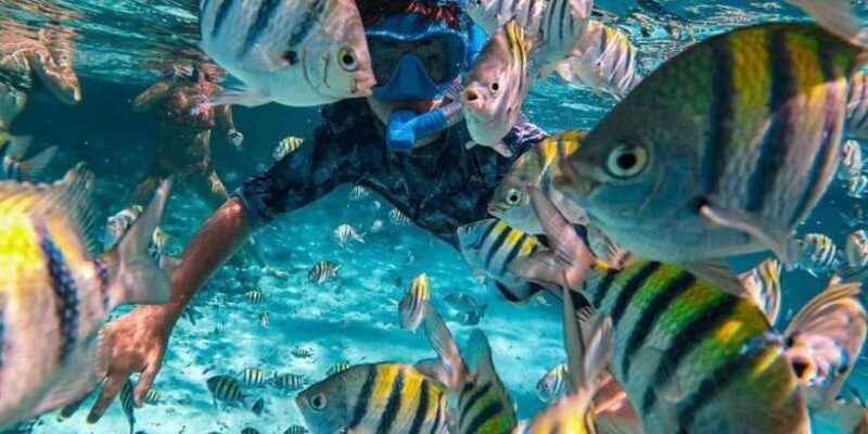 candidasa-best-of-snorkling-blue-lagoon-tanjung-jepun