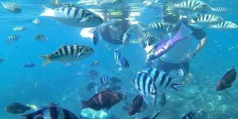 candidasa-best-of-snorkling-blue-lagoon-tanjung-jepun