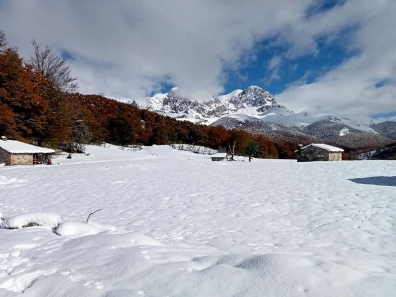 Cangas de Onís: Route in the Vegabaño Forest with lunch at a mountain refuge - Who Will Love This Tour?