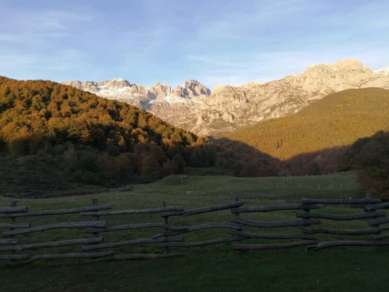 Cangas de Onís: Route in the Vegabaño Forest with lunch at a mountain refuge - FAQ
