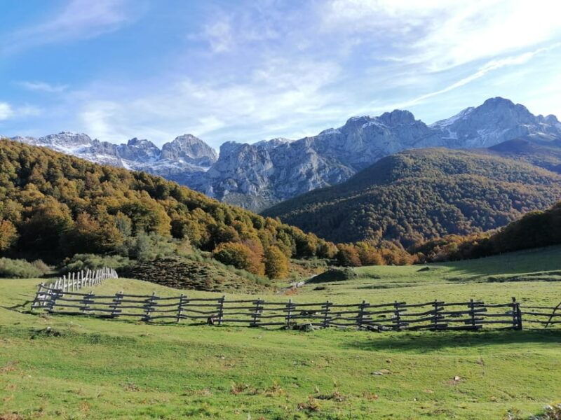 cangas-de-onis-route-in-vegabano-forest-with-lunch-in-a-mountain-refuge