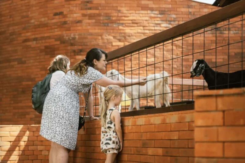 Canggu: Entry Ticket to Mai Main Indoor Playground - The Experience in Detail