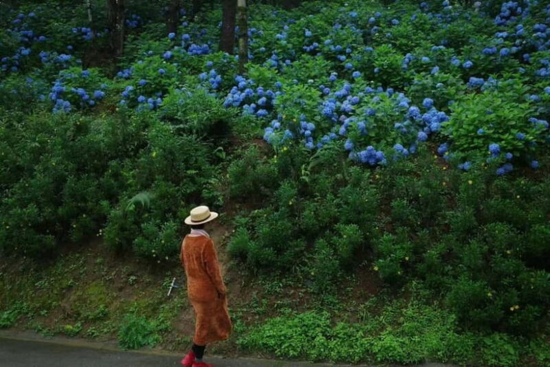 Cangshan Mountain: Mindful Hiking and Organic Homemade Food - FAQ