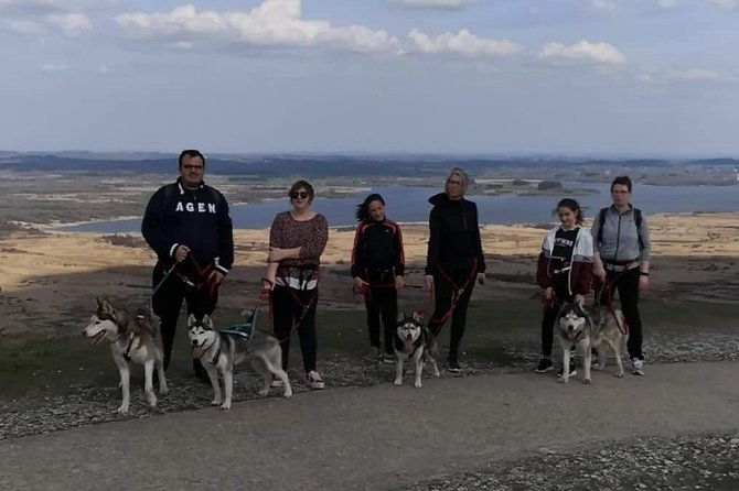 cani-rando-fun-and-original-hiking-pulled-by-huskies