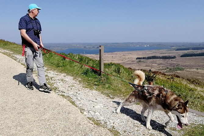 cani-rando-fun-and-original-hiking-pulled-by-huskies
