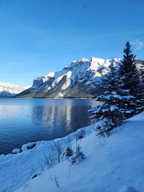 canmore-banff-explore-banff-wildlife