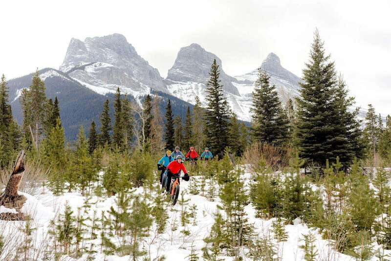 canmore-explore-winter-wildlife-tracks-2hr-nature-walk