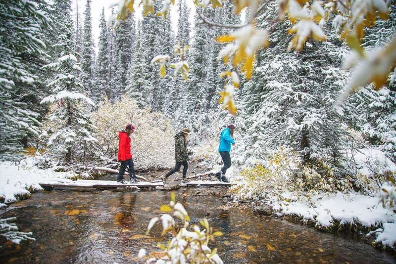 canmore-explore-winter-wildlife-tracks-2hr-nature-walk