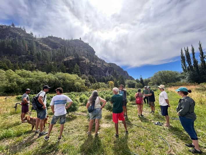 cannabis-experience-visit-to-crops-the-channels