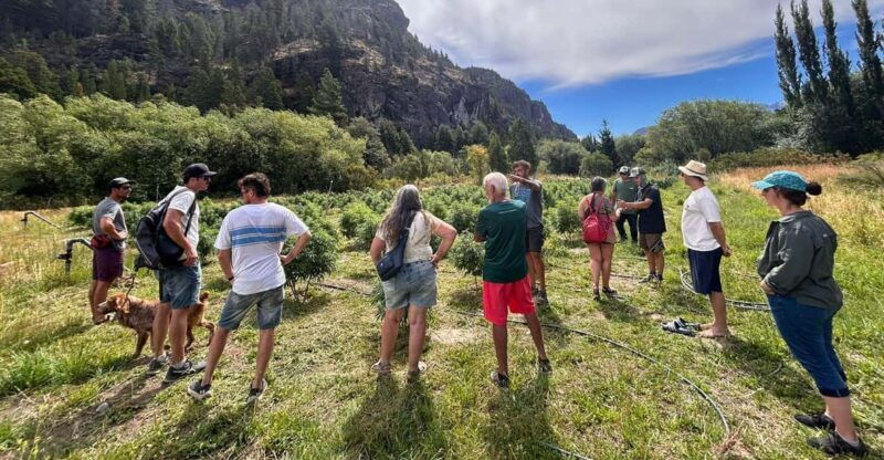 cannabis-experience-visit-to-crops-the-channels