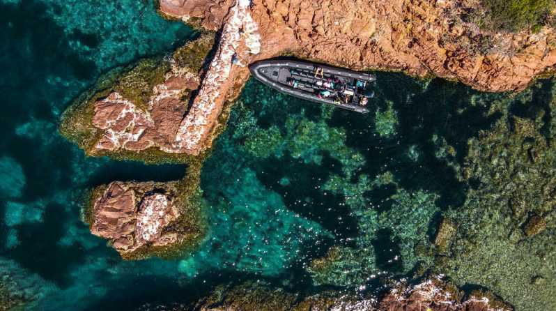 cannes-2-5-hour-esterel-calanques-boat-excursion