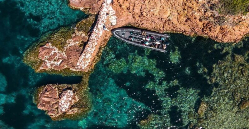 cannes-2-5-hour-esterel-calanques-boat-excursion
