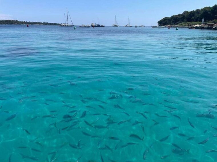 cannes-boat-trip-without-a-license-to-the-lerins-islands