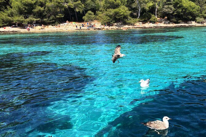 Cannes Private Boat Tour to the Lerins Islands  Relax & Cruise - Who Would Enjoy This Tour?