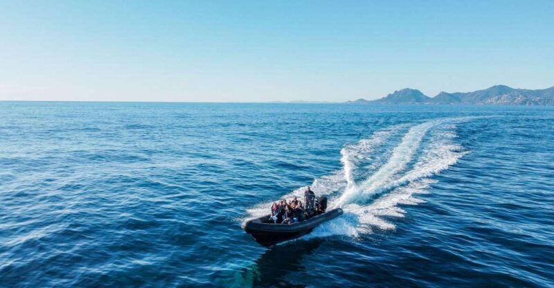 cannes-scenic-coves-rib-boat-tour