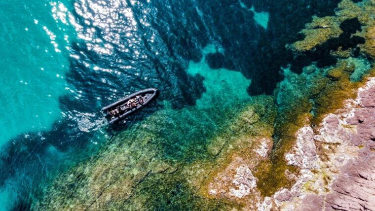 cannes-scenic-coves-rib-boat-tour