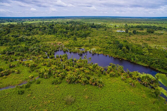 cano-blanco-nature-sanctuary-by-boat
