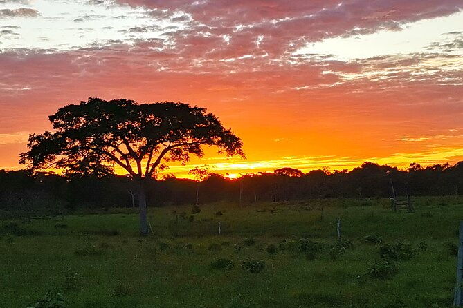 cano-cristales-3-days-adventure