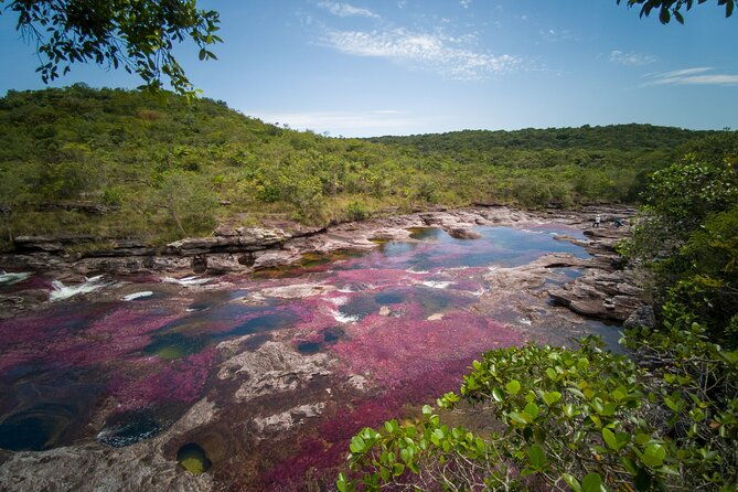 cano-cristales-3-days-adventure
