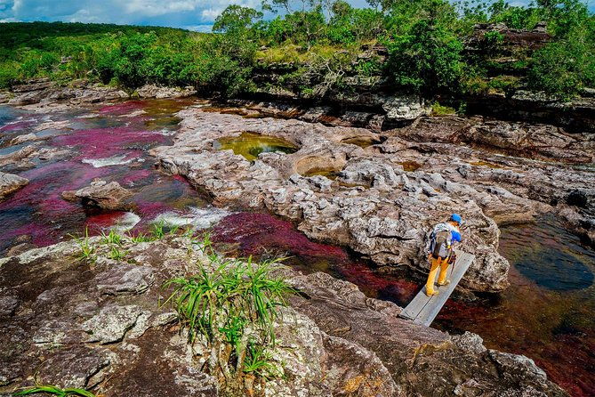 cano-cristales-jungle-4-day-trip-from-bogota